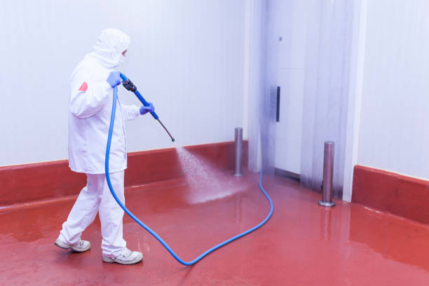 Trusted El Jebel, CO Pressure Washing Services Experts